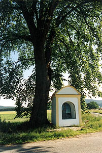 Keme 2003, opravy kapliek, Kaplika u Jnka (sm. Bohoukovice)