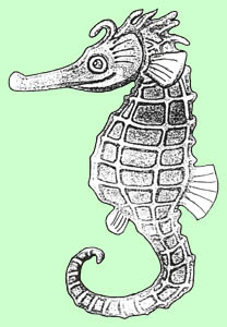 Mosk konk, ilustrace