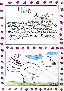 Z Holubov 2005, pspvek do Televize Srdko