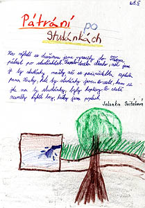 Z Holubov 2005, pspvek do Televize Srdko