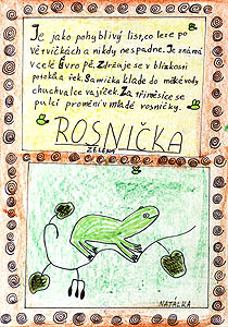 Z Holubov 2005, pspvek do Televize Srdko