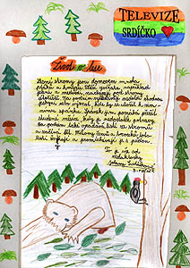 Z Holubov 2006, pspvek do Televize Srdko