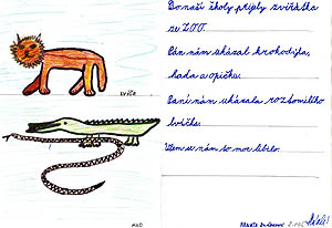 Z Keme 2006, ZOO ve kole