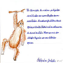 Z Keme 2006, ZOO ve kole