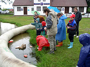 Holubov 2006, Den dt