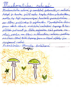 Z Holubov 2006, pspvek do Televize Srdko