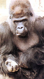 ZOO v Praze