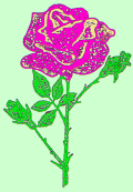 ivotn jubilea