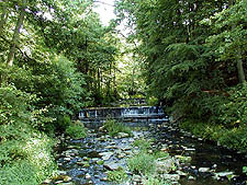 Kemer Bach unter Dv Kmen, Foto: Jan K