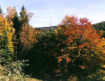 Landschaftsschutzgebiet Blansk les (Blansker Wald), Blansk les im Herbst