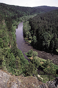 Blick in das Naturschutzgebiet Dv Kmen