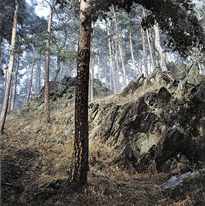 Ansicht der Serpentinitfelsen in der Naturreservation Holubovsk hadce