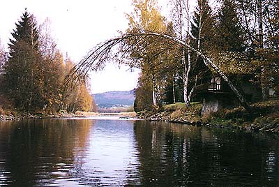 eka Vltava, zkout s bzou