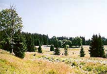 Pramenit Pohoskho potoka, prodn pamtka